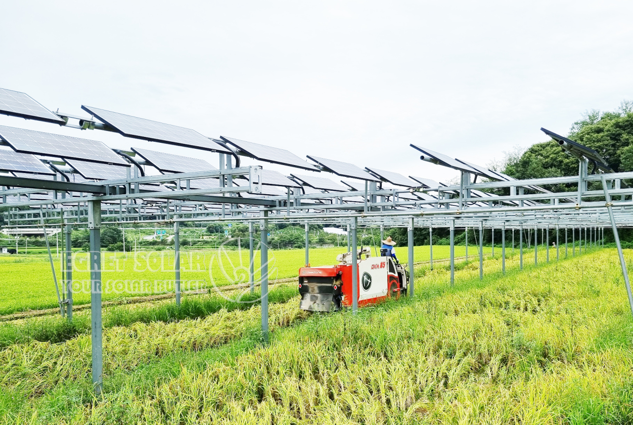 Aluminum Solar Agriculture Mounting Drives Sustainable Agricultural Development